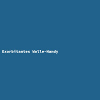 Exorbitantes Wolle-Handy 2