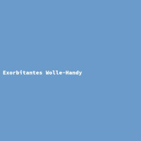 Exorbitantes Wolle-Handy 3