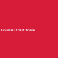 Langlebige Granit-Rutsche 2