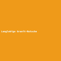 Langlebige Granit-Rutsche 3