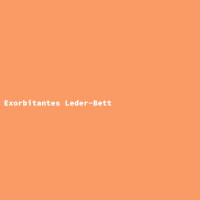 Exorbitantes Leder-Bett 2