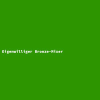 Eigenwilliger Bronze-Mixer 3